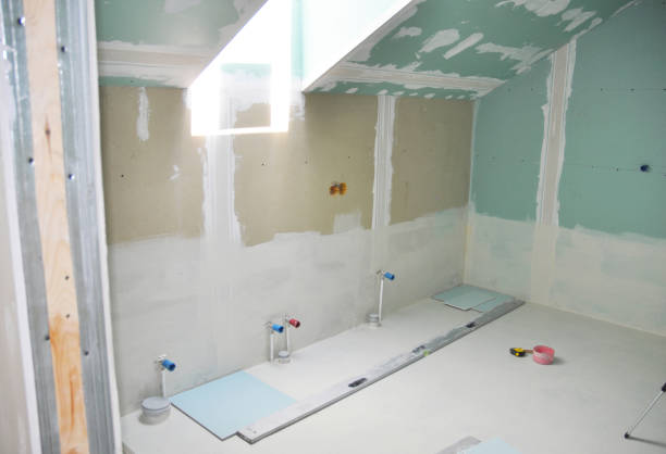 Best Water-Damaged Drywall Repair  in Avoca, IA